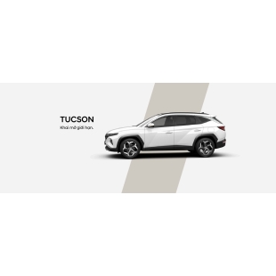 Hyundai Tucson (G)