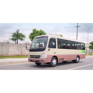 Hyundai  County