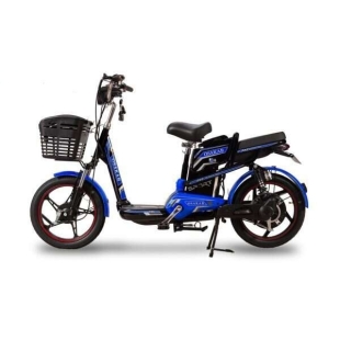 Ắc Quy Xe Đạp Điện
