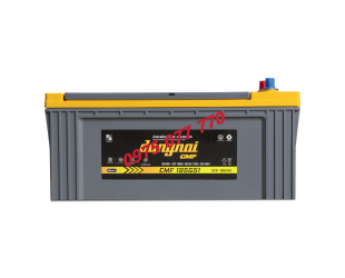 Ắc quy khô miễn bảo dưỡng Đồng Nai CMF 195G51 - 12V - 165Ah