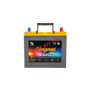 Ắc quy khô miễn bảo dưỡng Đồng Nai CMF 50B24LS - 12V - 45Ah  