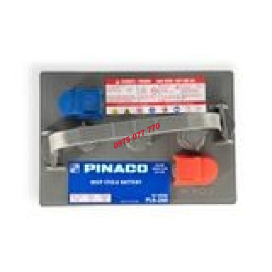 Ắc quy Xe điện đồng nai PL 6-260 - 6V - 260Ah